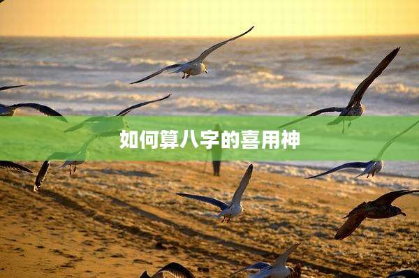 如何算八字的喜用神