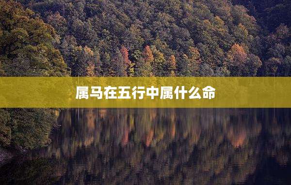 属马在五行中属什么命