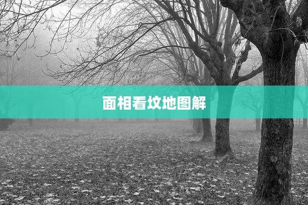 面相看坟地图解