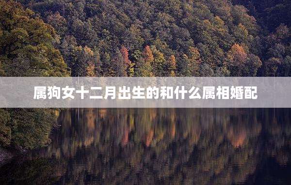 属狗女十二月出生的和什么属相婚配