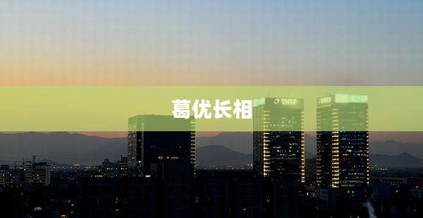 葛优长相