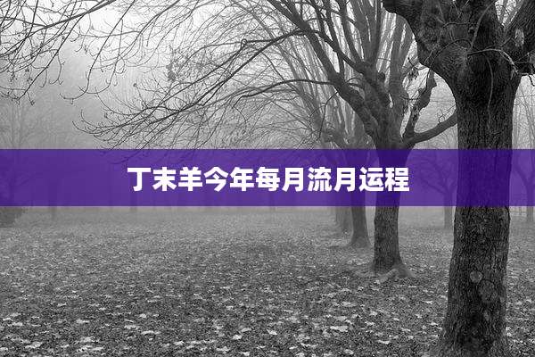 丁末羊今年每月流月运程