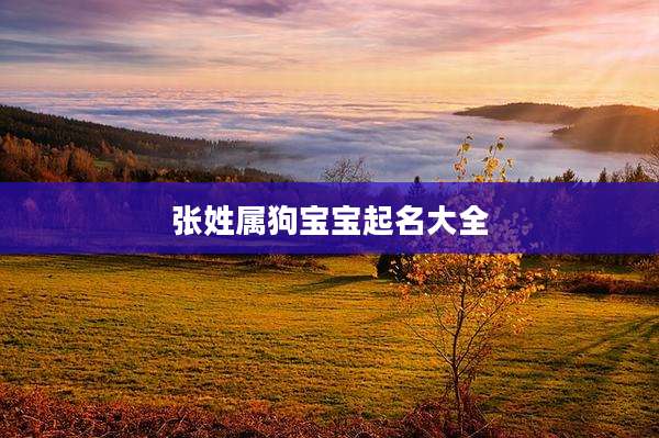 张姓属狗宝宝起名大全
