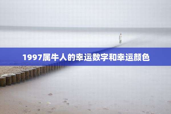 1997属牛人的幸运数字和幸运颜色