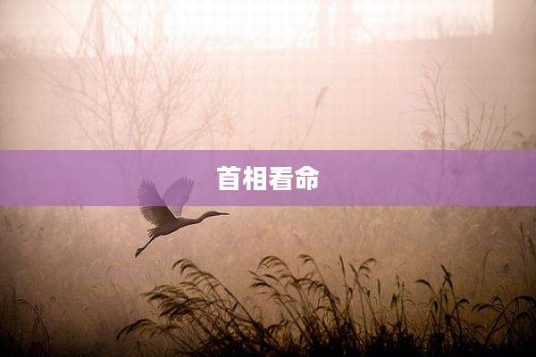 首相看命