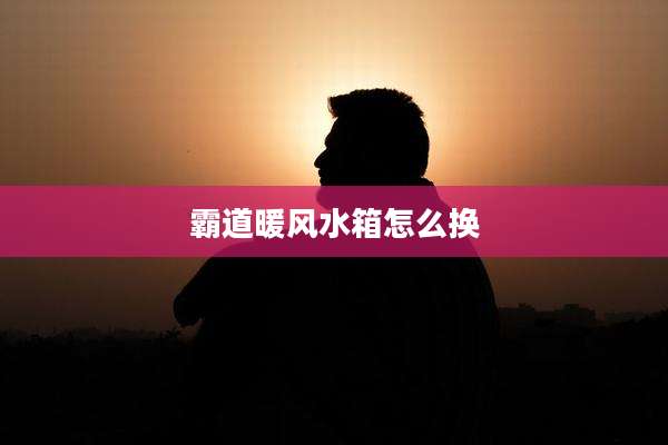 霸道暖风水箱怎么换