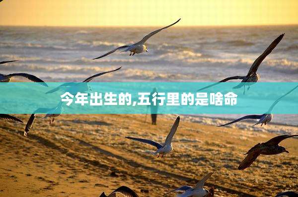 今年出生的,五行里的是啥命