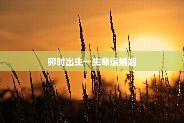卯时出生一生命运婚姻