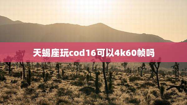 天蝎座玩cod16可以4k60帧吗