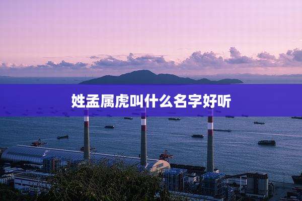 姓孟属虎叫什么名字好听