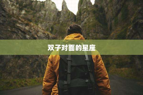 双子对面的星座