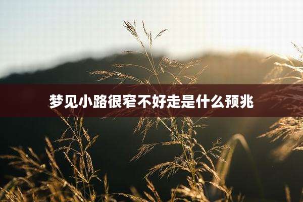 梦见小路很窄不好走是什么预兆