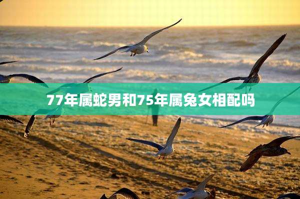 77年属蛇男和75年属兔女相配吗