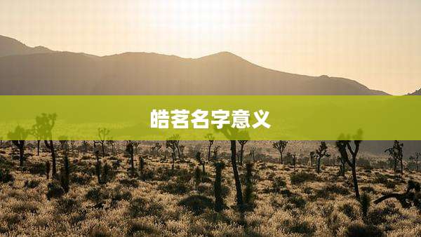 皓茗名字意义