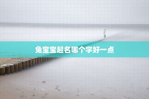 兔宝宝起名哪个字好一点
