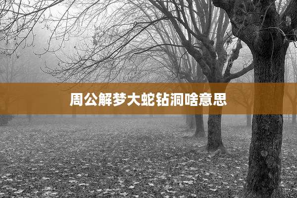 周公解梦大蛇钻洞啥意思