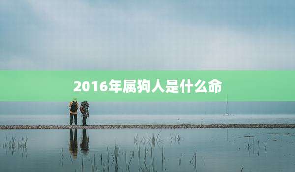 2016年属狗人是什么命