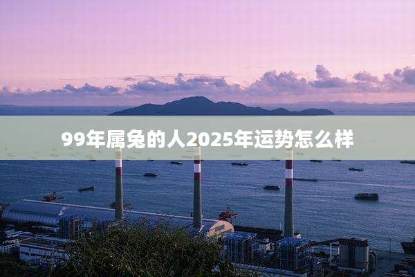 99年属兔的人2025年运势怎么样