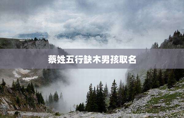 蔡姓五行缺木男孩取名