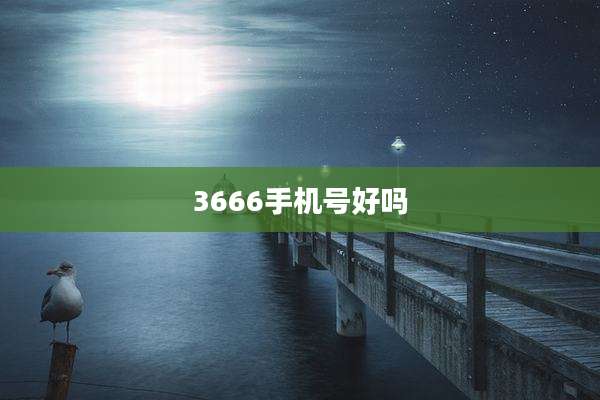 3666手机号好吗