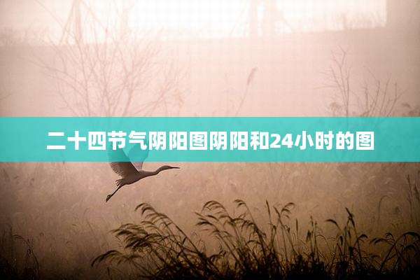 二十四节气阴阳图阴阳和24小时的图