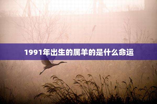 1991年出生的属羊的是什么命运