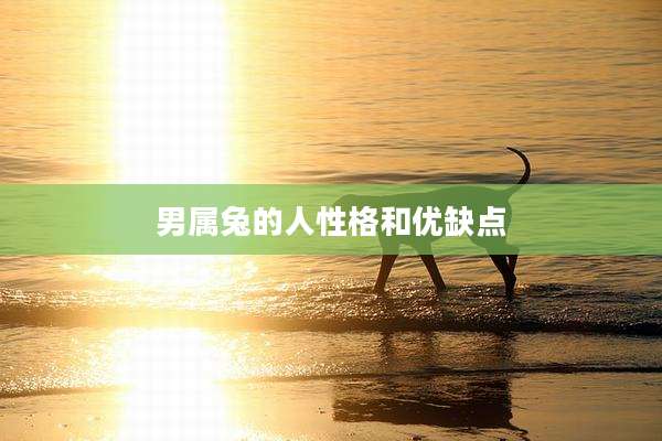 男属兔的人性格和优缺点