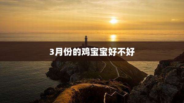 3月份的鸡宝宝好不好