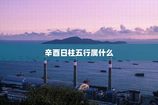 辛酉日柱五行属什么