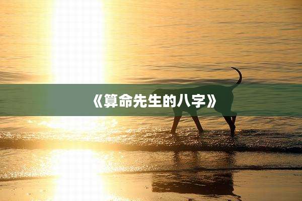 《算命先生的八字》