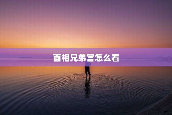 面相兄弟宫怎么看