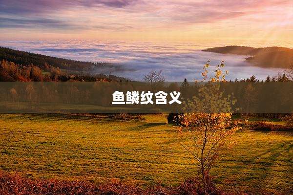 鱼鳞纹含义