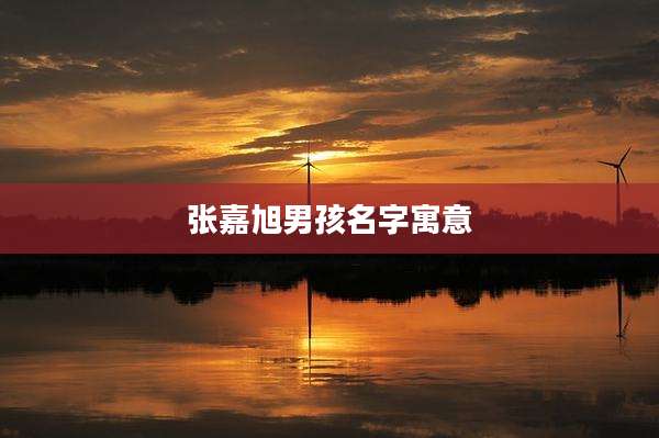 张嘉旭男孩名字寓意