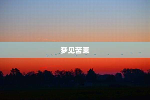 梦见苦莱