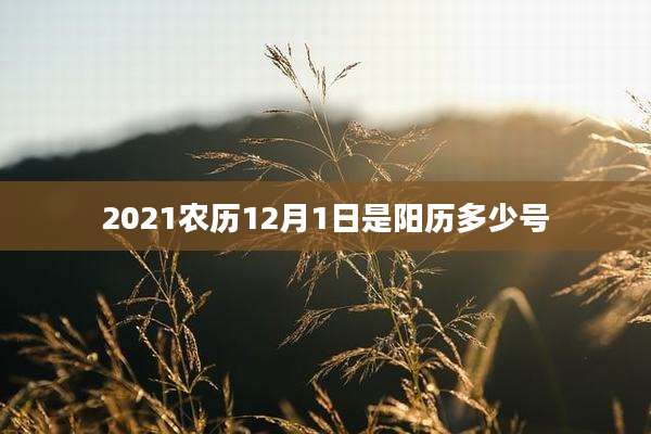 2021农历12月1日是阳历多少号