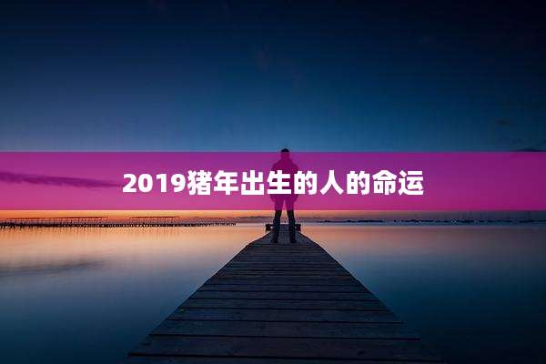 2019猪年出生的人的命运
