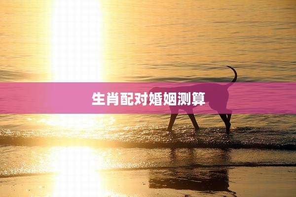 生肖配对婚姻测算