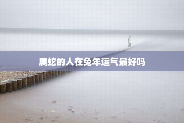 属蛇的人在兔年运气最好吗