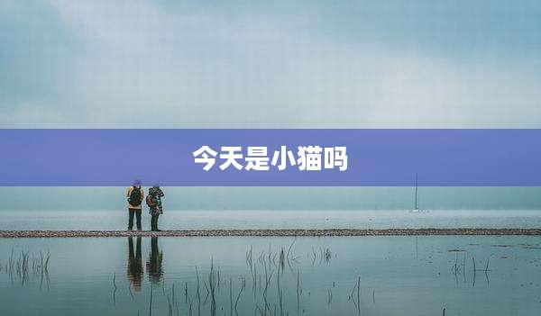 今天是小猫吗