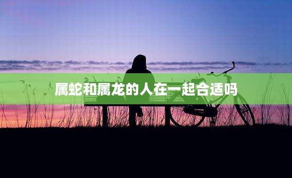 属蛇和属龙的人在一起合适吗