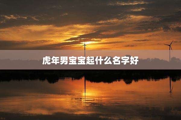 虎年男宝宝起什么名字好