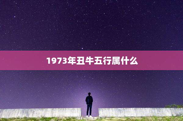1973年丑牛五行属什么