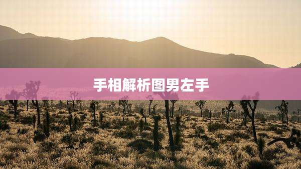 手相解析图男左手