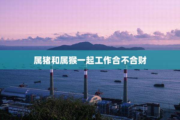 属猪和属猴一起工作合不合财