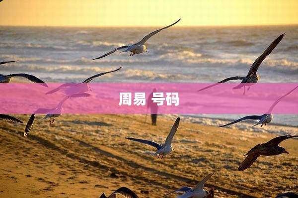 周易 号码