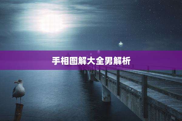 手相图解大全男解析