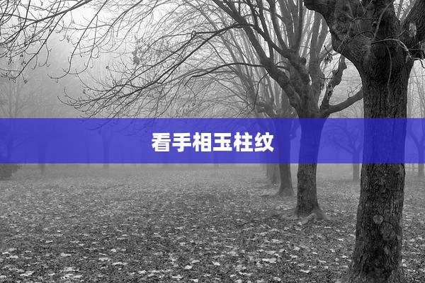 看手相玉柱纹