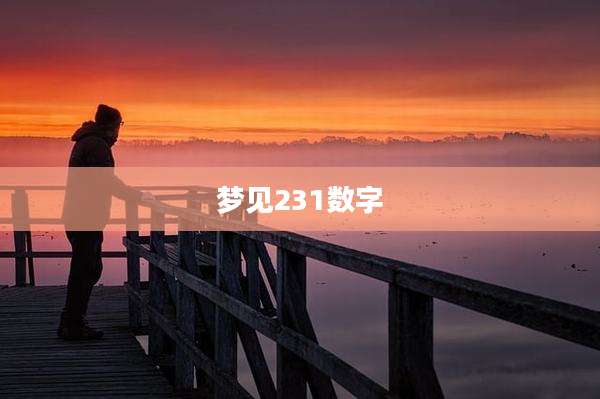 梦见231数字
