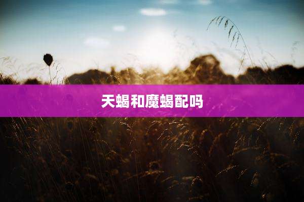 天蝎和魔蝎配吗