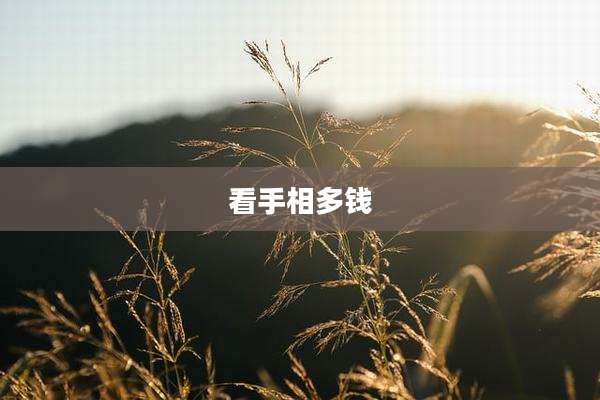 看手相多钱